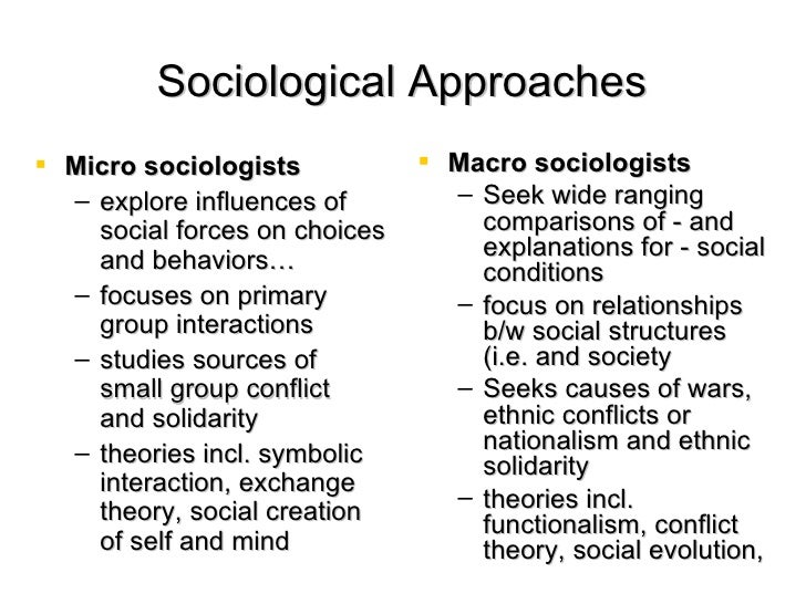 macro and micro sociology essays macro and micro sociology essays